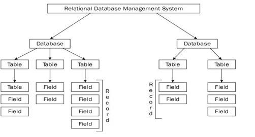 database management system class 10 term 2