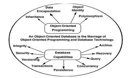 class 10 Computer Database management system reading material