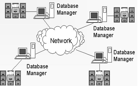 class 10 Computer Database management system reading material