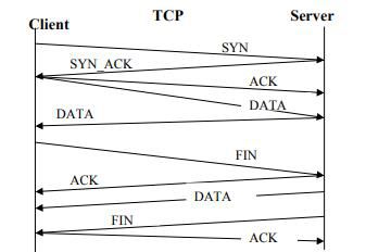 class 10 Computer Networking reading material